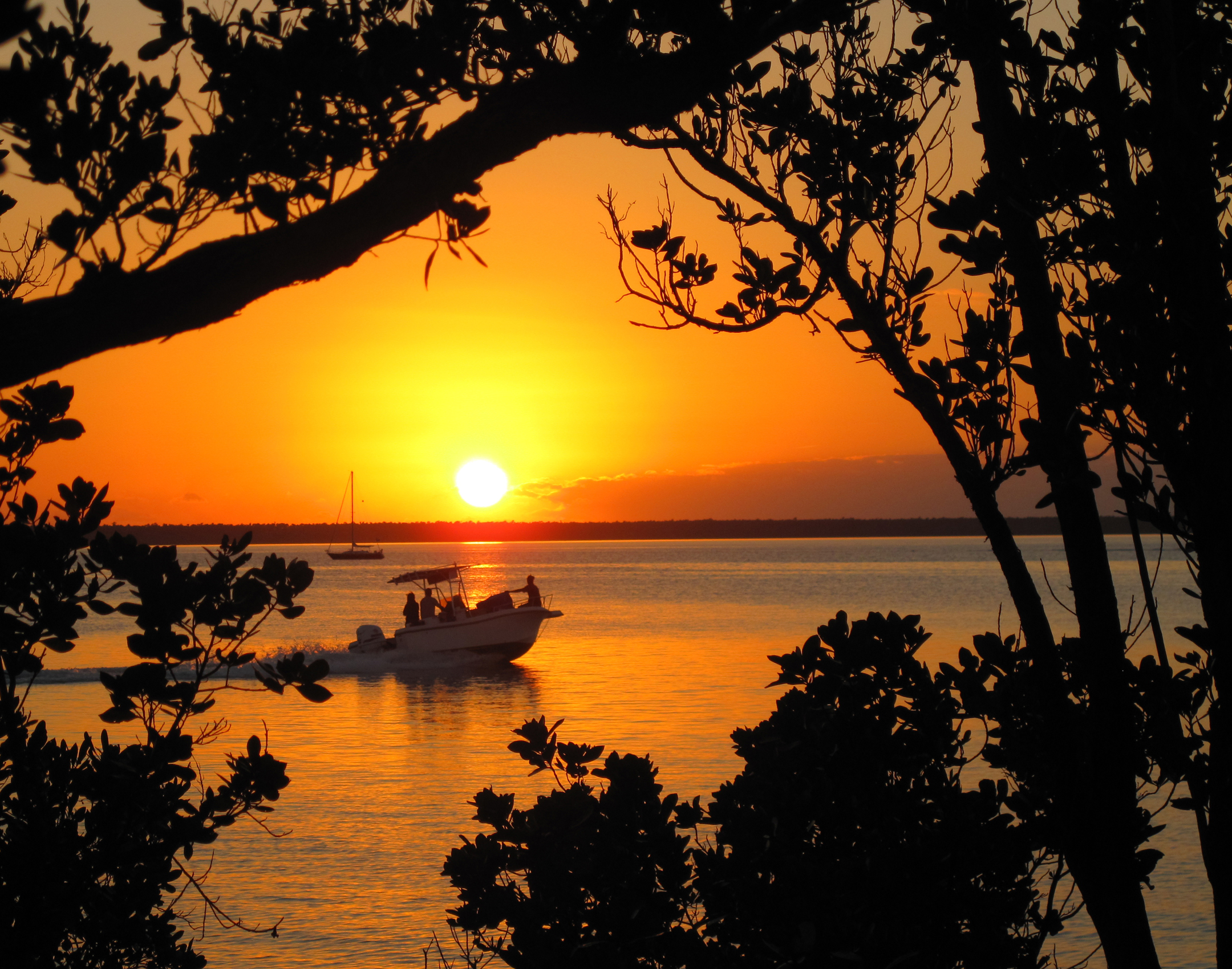 bahamas, sunset, abaco, green turtle cay