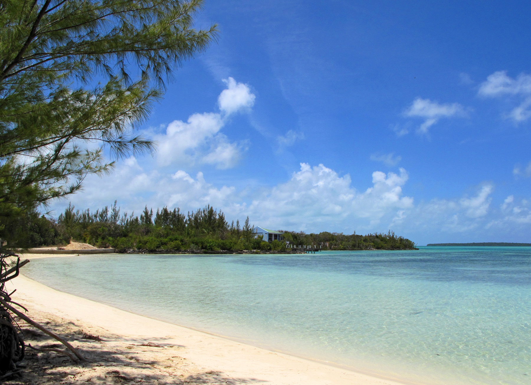 bahamas, abaco, green turtle cay, coco bay, beach 
